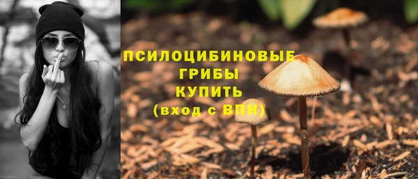 а пвп мука Абаза