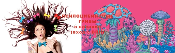 соль ск Абинск