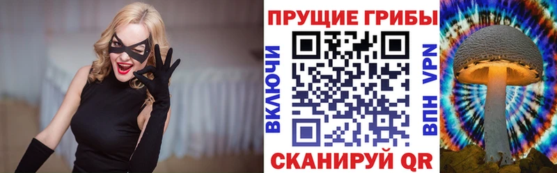 Псилоцибиновые грибы Cubensis  Заводоуковск 